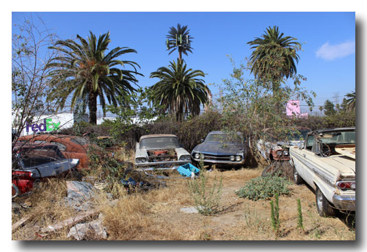 Pink Motel | Junk Yard