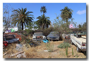 Pink Motel Junk Yard