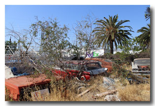 Pink Motel Junk Yard