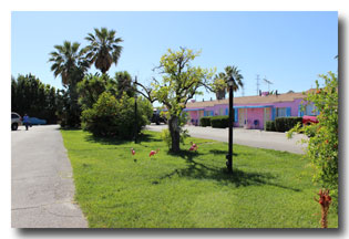 Pink Motel Sign at night